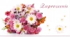 Zaproszenia Flowers nr 02 (opakowanie 10 szt) - zdjęcie