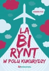 Labirynt w polu kukurydzy - zdjęcie