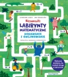 Niesamowite labirynty matematyczne. Dodawanie i odejmowanie - zdjęcie