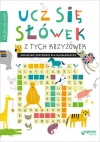 Ucz się słówek z tych krzyżówek! Angielskie krzyżówki dla najmłodszych - zdjęcie