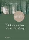 Działanie duchów w stanach pokusy Analiza przypadków - zdjęcie
