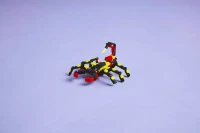 LEGO Creator 3 w 1 Dzikie zwierzęta: niezwykły pająk 31159, zdjęcie 11