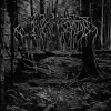 2005 Demo, CD - zdjęcie