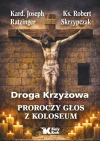 Droga Krzyżowa. Proroczy głos z Koloseum - zdjęcie