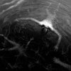 The Approaching Roar. CD - zdjęcie