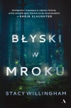 Błyski w mroku - zdjęcie
