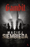 Gambit - zdjęcie