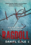 Ragdoll - zdjęcie