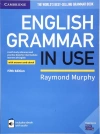 English Grammar in Use - zdjęcie