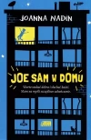 Joe sam w domu - zdjęcie