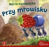 Przy mrowisku - zdjęcie