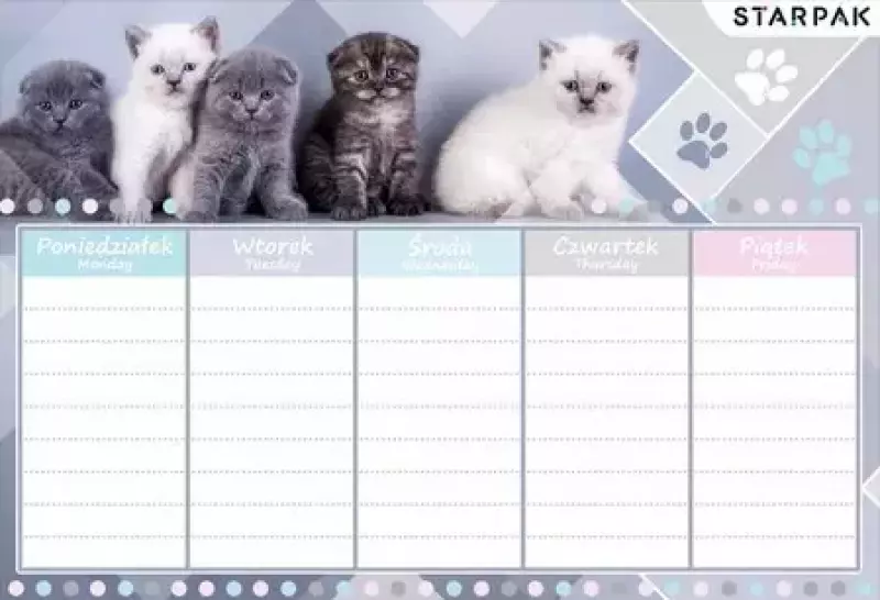 Plan lekcji z kotkami Plan lekcji z kotkami
