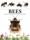 Bees - zdjęcie