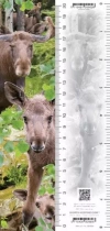 Zakładka 3D Łoś - zdjęcie