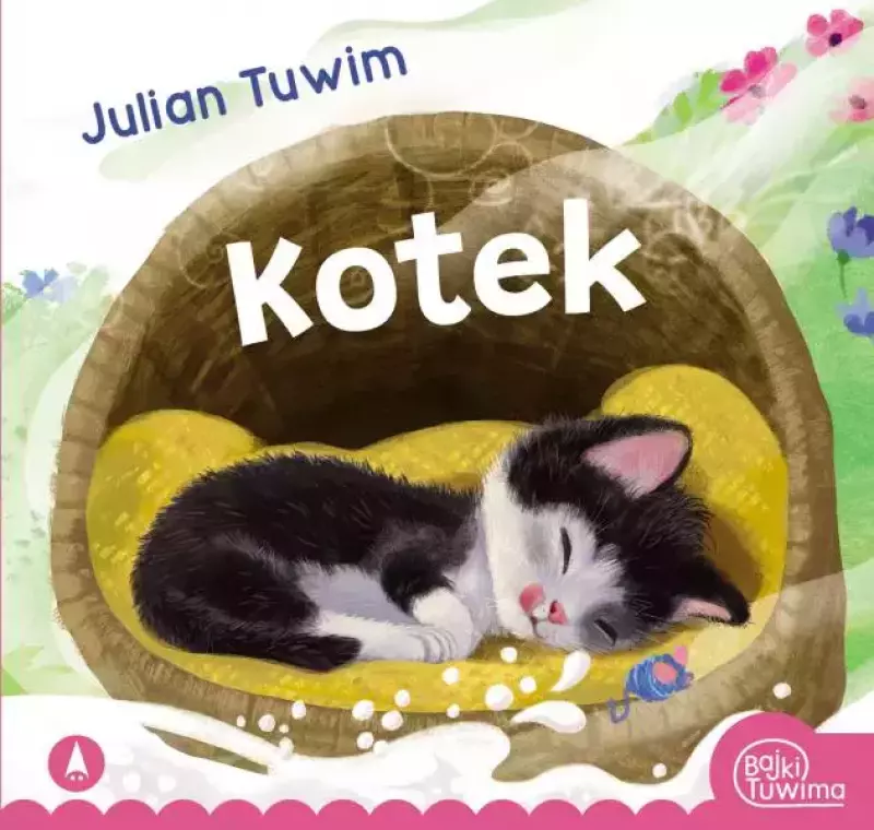 Kotek Kotek