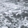 Ostateczny krach systemu korporacji, CD - zdjęcie