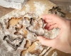 Foremki na ciastka DINOZAURY 6 szt. - zdjęcie
