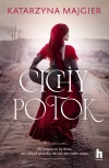 Cichy potok - zdjęcie