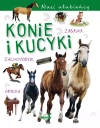 Nasi ulubieńcy. Konie i kucyki - zdjęcie