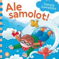 Ale samolot!, zdjęcie 2