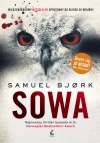 Sowa - zdjęcie