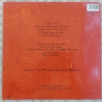 No Jacket Required (Deluxe), Winyl, zdjęcie 6