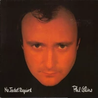 No Jacket Required (Deluxe), Winyl, zdjęcie 10
