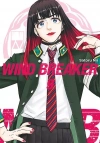 Wind Breaker. Tom 9 - zdjęcie