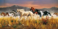 Puzzle 13200 elementów. High Quality Collection. Konie, zdjęcie 2
