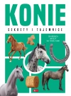 Konie - zdjęcie