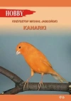 Kanarki - zdjęcie