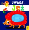 Uwaga! Jeż - zdjęcie
