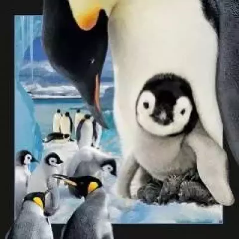 Pocztówka 3D Pingwin Pocztówka 3D Pingwin