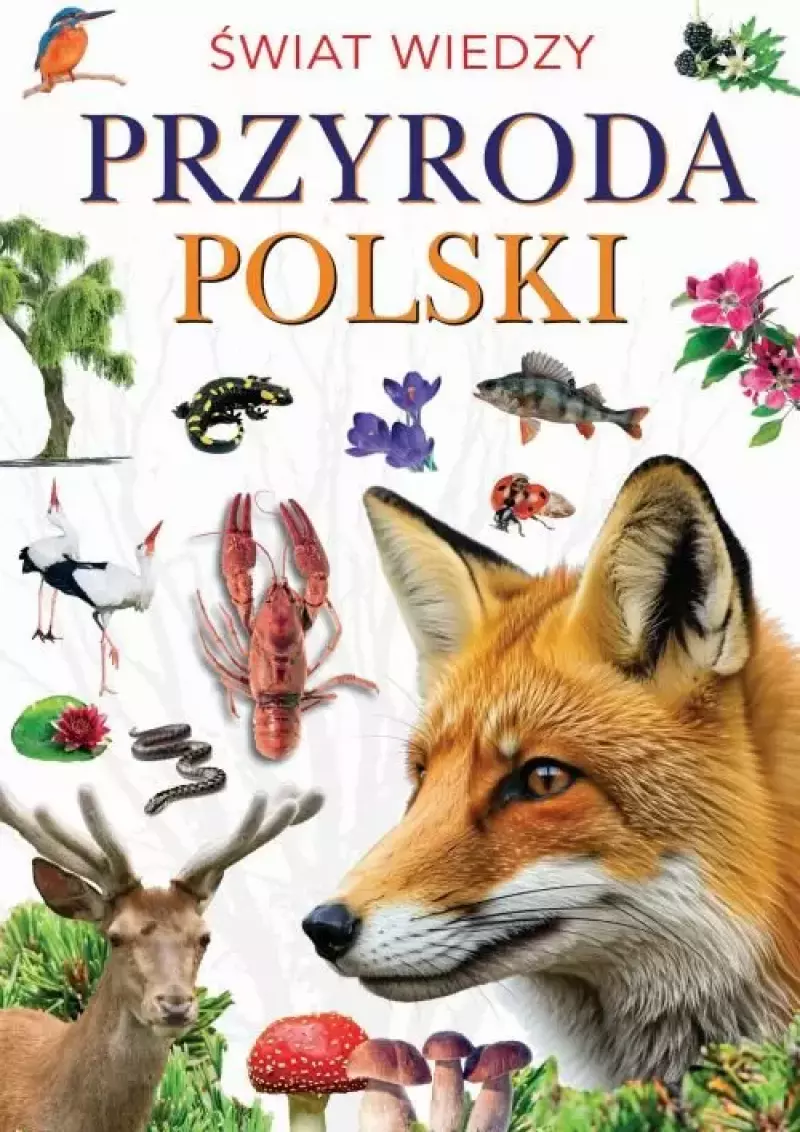 Przyroda Polski Przyroda Polski