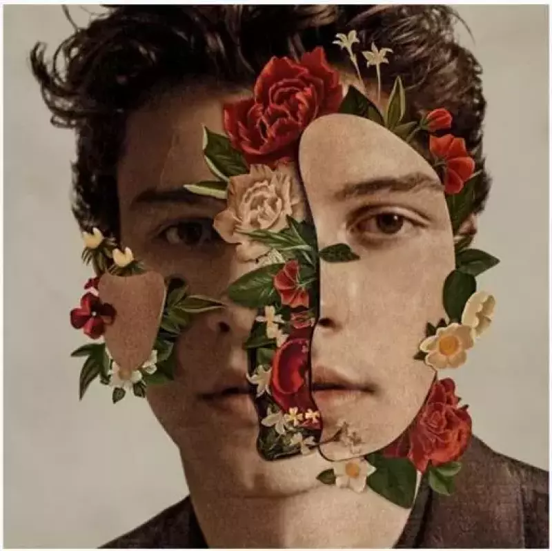 Shawn Mendes, CD Shawn Mendes, CD