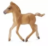 Zrębie haflinger spacerujące - zdjęcie