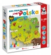 Gra edukacyjna. Polska - zdjęcie