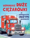 Wspaniałe duże ciężarówki ze wspaniałymi dużymi okienkami - zdjęcie