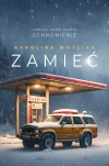 Zamieć - zdjęcie