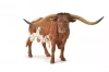 Texas Longhom Bull - zdjęcie