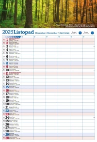 Kalendarz 2025 PLANER ścienny do notatek ORGANIZER, zdjęcie 12