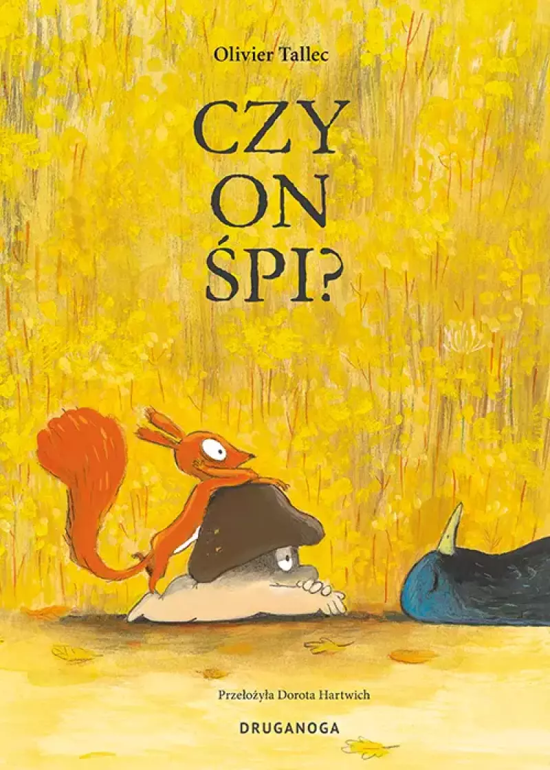 Wiewiórka. Czy on śpi? Wiewiórka. Czy on śpi?