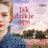 Jak dzikie gęsi - zdjęcie