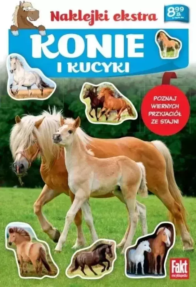 Konie i kucyki Konie i kucyki