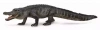Aligator - zdjęcie