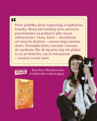 Chyba nie jestem Bogiem, zdjęcie 2