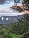 Forests - zdjęcie