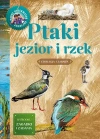 Ptaki jezior i rzek - zdjęcie