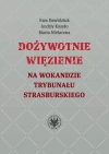 Dożywotnie więzienie na wokandzie trybunału strasburskiego - zdjęcie
