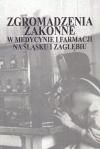 Zgromadzenia zakonne w medycynie i farmacji... - zdjęcie